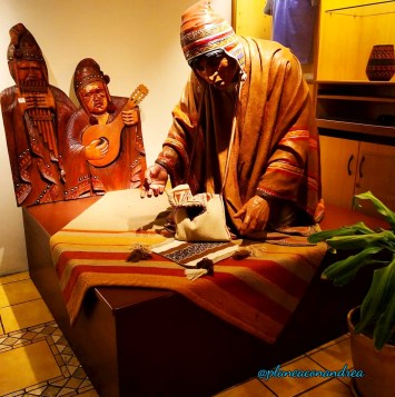 planeaconandrea_arequipa6