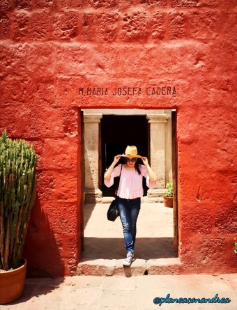 planeaconandrea_arequipa9